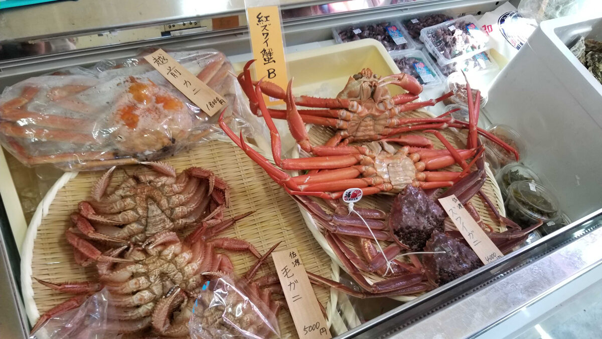 あきる野の新日本海水産いろいろなカニ